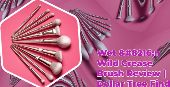 Wet n wild makeup brushes