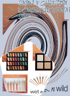 Wet n wild makeup brushes set